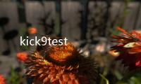 kick9test