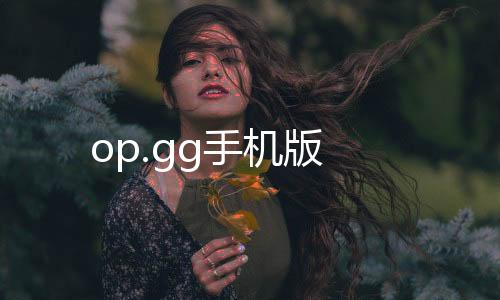 op.gg手机版下载