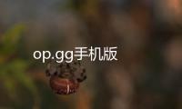 op.gg手机版