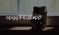 opgg手机版app
