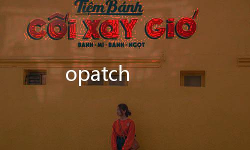 opatch下载