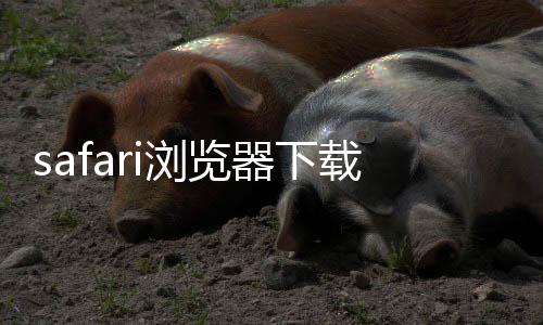 safari浏览器下载 1.2下载