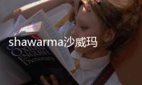shawarma沙威玛大战僵尸