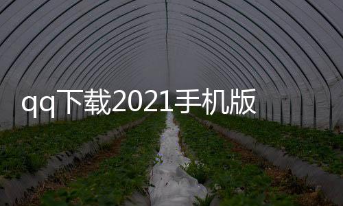 qq下载2021手机版下载