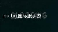 pu bg,国际服手游(BETA PUBG MOBILE)