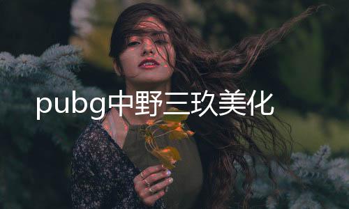pubg中野三玖美化下载