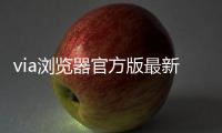 via浏览器官方版最新版