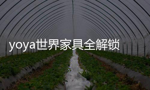 yoya世界家具全解锁下载